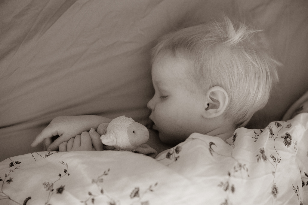 Barn som sover med mjukleksak i handen