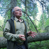 – Jag har själv varit entusiastisk för skogsbruk utan kalhyggen, säger Carl-Johan Jansson. Men det fungerar inte.