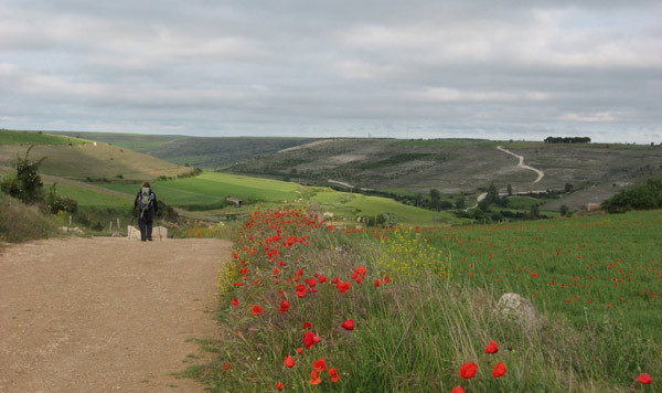 Pilgrimsleden till Santiago de Compostela i nordvästra Spanien är en av världens populäraste pilgrimsleder.