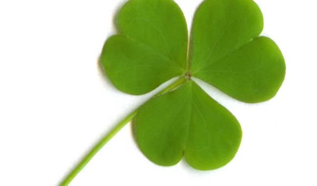 Den irländska treklövern symboliserar korset och treenigheten. Enligt historien ska St Patrick ha hållit upp ett treklöver i en av sina predikningar.