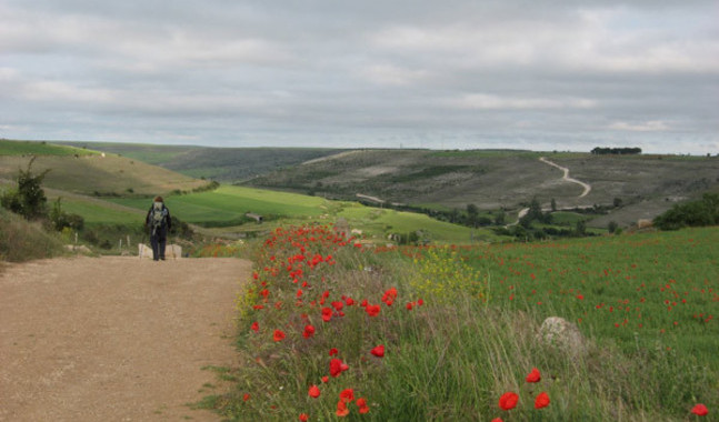 Pilgrimsleden till Santiago de Compostela i nordvästra Spanien är en av världens populäraste pilgrimsleder.